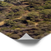 Poster Vue d'un sentier de randonnée dans le parc Griffit (Coin)