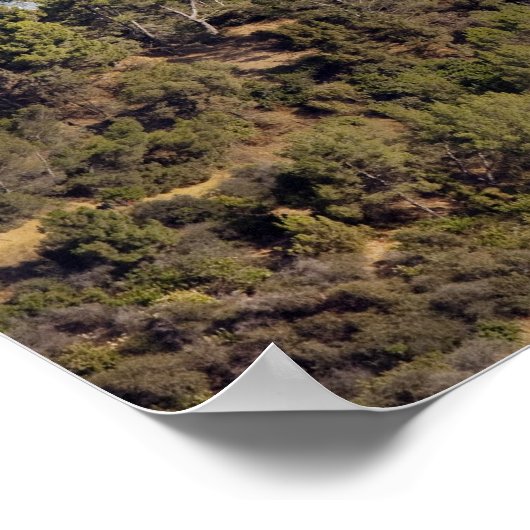 Poster Vue d'un sentier de randonnée dans le parc Griffit (Coin)