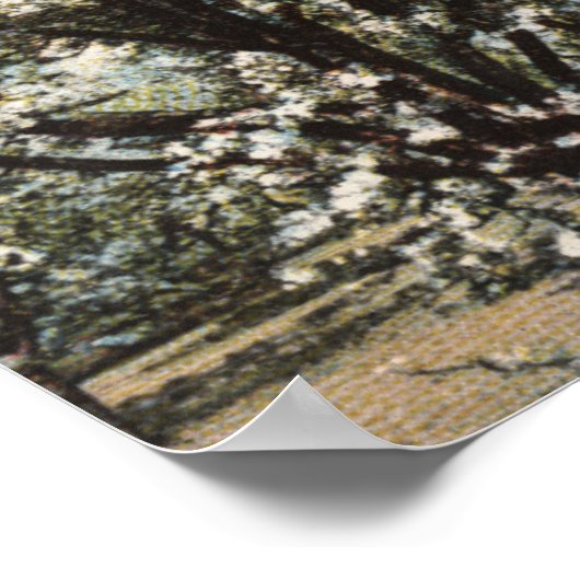 Poster Vue d'un verger de prune de 300 000 arbres (Coin)