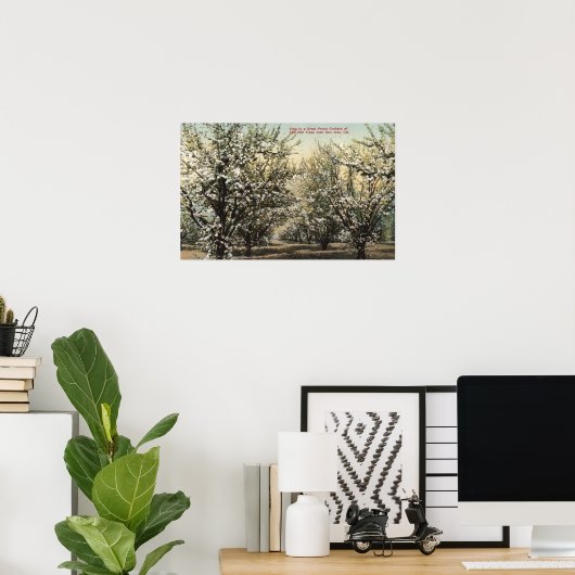 Poster Vue d'un verger de prune de 300 000 arbres (Bureau à domicile)
