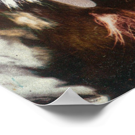 Poster Vue d'une beauté Eskimo (Coin)