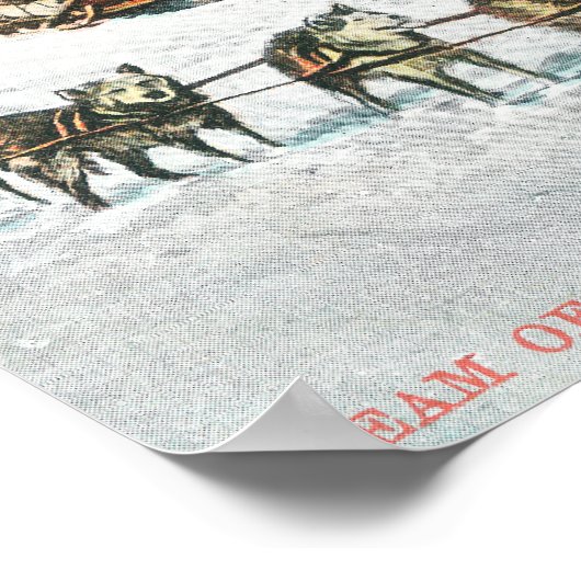 Poster Vue d'une équipe de chiens Husky (Coin)