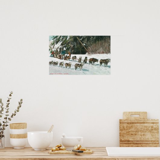 Poster Vue d'une équipe de chiens Husky (Cuisine)