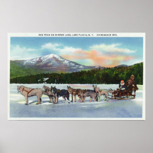 Poster Vue d'une équipe de luge tirée par des chiens sur