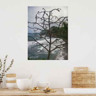 Poster Vue d'une photo d'arbre de plage océanique hawaïen