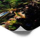 Poster Vue Élevée Sur La Plage De Waikiki, Honolulu 2 (Coin)