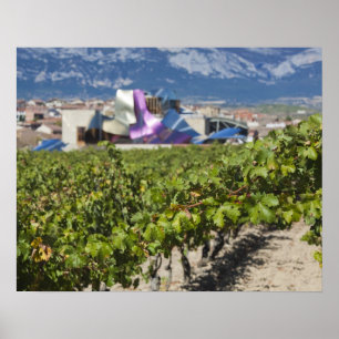 Poster Vue élevée sur la ville et Hôtel Marques de Riscal