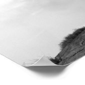 Poster Vue en grand angle noir et blanc (Coin)