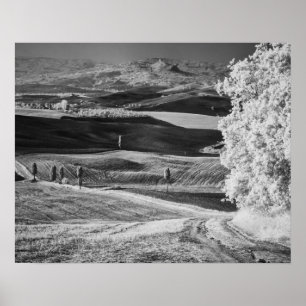Poster Vue en noir et blanc d'une route sinueuse