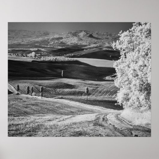 Poster Vue en noir et blanc d'une route sinueuse (Devant)
