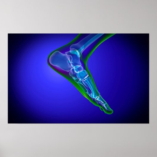 Poster Vue En Rayon X Du Pied Humain 1 (Devant)