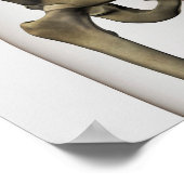Poster Vue En Trois Dimensions Des Os Pelviques Humains (Coin)