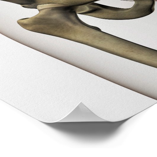 Poster Vue En Trois Dimensions Des Os Pelviques Humains (Coin)