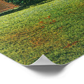 Poster Vue extérieure de la chapelle couverte de lierre, (Coin)