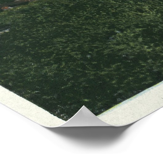 Poster Vue extérieure sur le Mont Pleasant Hôtel # 2 (Coin)