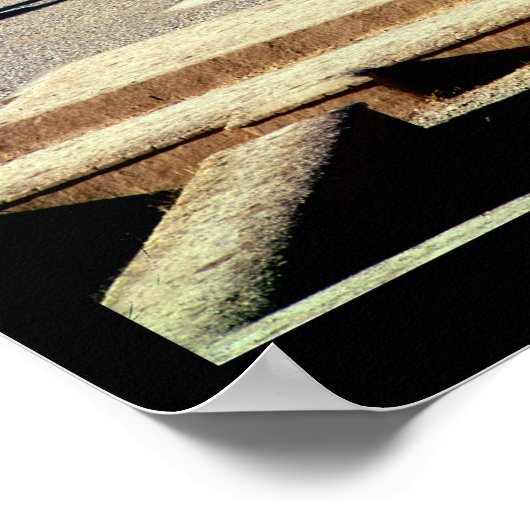 Poster Vue générale de l'Apadana fondée c.518 BC (Coin)