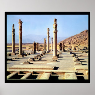 Poster Vue générale de l'Apadana fondée c.518 BC