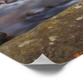 Poster Vue Glass Falls Pisgah Forêt nationale (Coin)