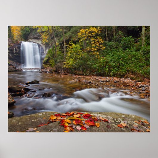 Poster Vue Glass Falls Pisgah Forêt nationale (Devant)