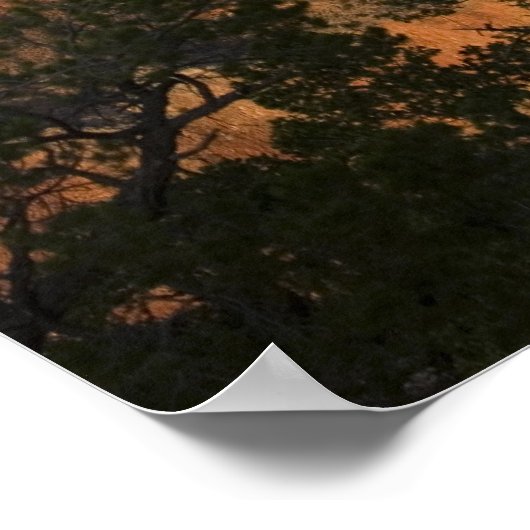 Poster Vue Grand Canyon (Coin)