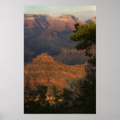 Poster Vue Grand Canyon (Devant)