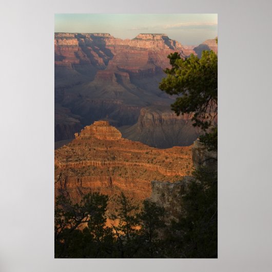 Poster Vue Grand Canyon (Devant)