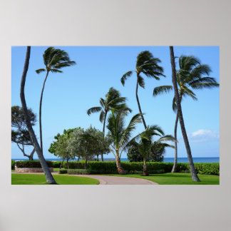Poster Vue hawaïenne pittoresque