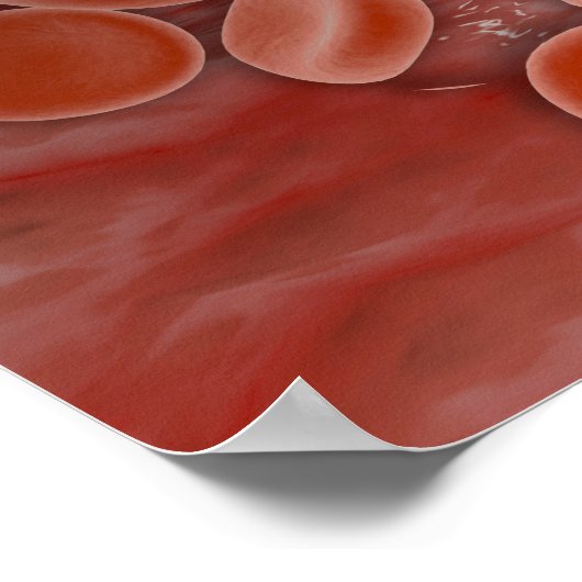 Poster Vue Intérieure De L'Artère Avec Cellules De Sang R (Coin)