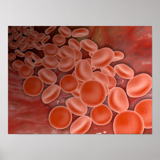 Poster Vue Intérieure De L'Artère Avec Cellules De Sang R (Devant)
