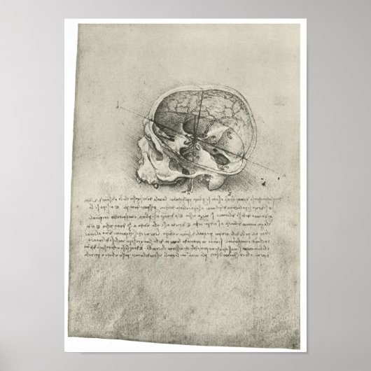 Poster Vue intérieure du crâne, Léonard de Vinci (Devant)