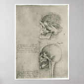 Poster Vue intérieure du crâne, Léonard de Vinci (Devant)
