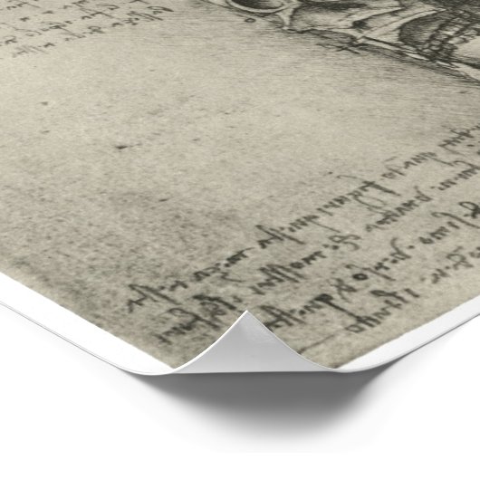 Poster Vue intérieure du crâne, Léonard de Vinci (Coin)