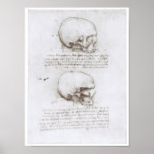 Poster Vue latérale du crâne, Léonard de Vinci (Devant)