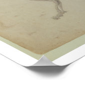 Poster Vue latérale d'un squelette de tigre, étude termin (Coin)