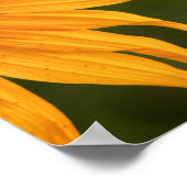 Poster Vue latérale - Expérience Prescott (Coin)