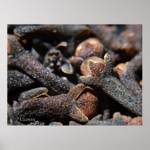 Poster Vue macro détaillée de l'herbe de clous de girofle