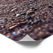 Poster Vue Macro D'Une Coquille Spirale (Coin)