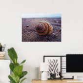 Poster Vue Macro D'Une Coquille Spirale (Bureau à domicile)