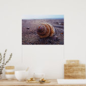 Poster Vue Macro D'Une Coquille Spirale (Cuisine)