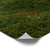 Poster Vue magnifique (Coin)