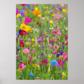 Poster Vue magnifique de la prairie printanière florissan (Devant)