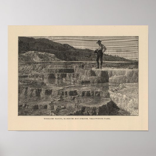 Poster Vue Mammoth Hot Springs (Devant)