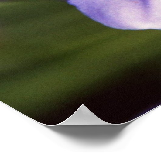 Poster Vue microscopique (Coin)