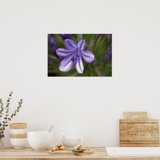 Poster Vue microscopique (Cuisine)