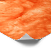 Poster Vue Microscopique De Hookworm 2 (Coin)