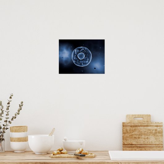 Poster Vue Microscopique De La Cellule Animale 3 (Cuisine)