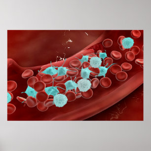 Poster Vue Microscopique De La Cloture Du Sang