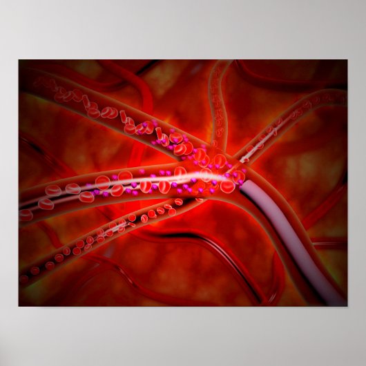 Poster Vue Microscopique De La Médecine Injectée (Devant)