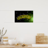 Poster Vue Microscopique De L'Attaque Aux Bactériophages (Cuisine)