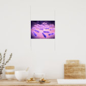 Poster Vue Microscopique De Listeria Monocytogenes 2 (Cuisine)